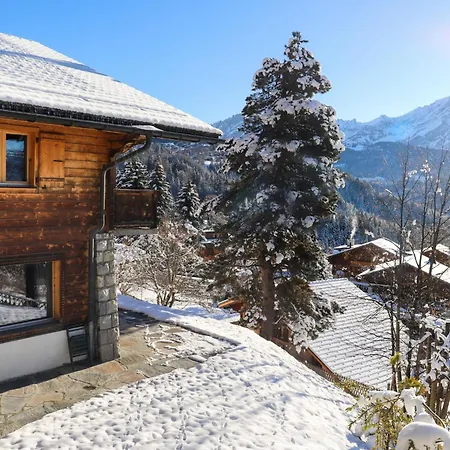 Rallye Taiaut By Interhome Chalet Chesières